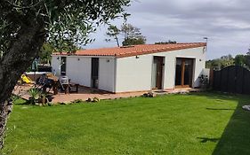 A Pintega Das Dunas